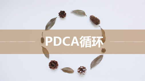 PDCA循环