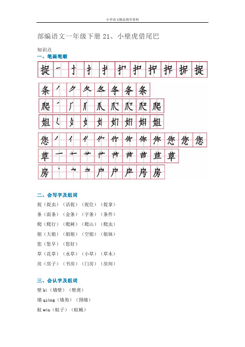 部编人教版一年级下册语文21、小壁虎借尾巴 ( 知识讲解+图文讲解)