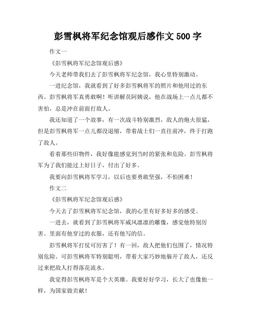 彭雪枫将军纪念馆观后感作文500字