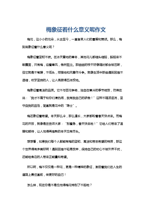 梅象征着什么意义呢作文