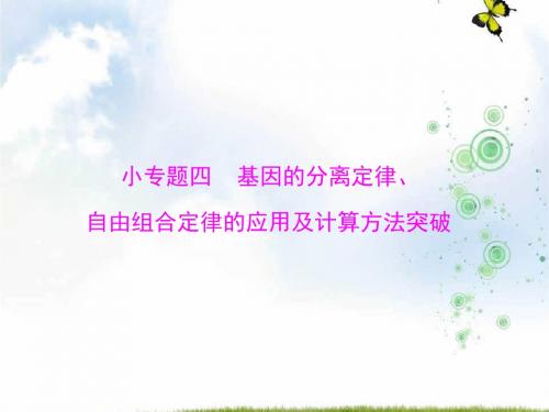 生物新课堂一轮总复习(实用课件):必修2 小专题四 基因的分离定律、自由组合定律的应用及计算方法突破