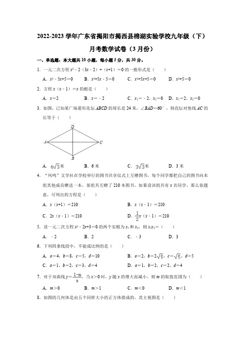 2022-2023学年广东省揭阳市揭西县棉湖实验学校九年级(下)月考数学试卷(3月份)(含解析)