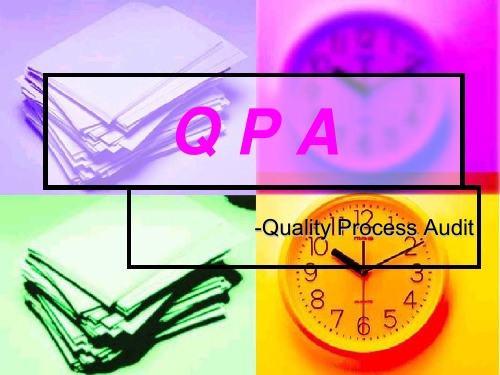 110209 Quality Process Audit(QPA)