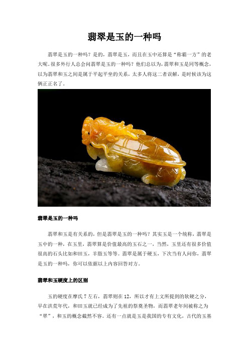 翡翠是玉的一种吗