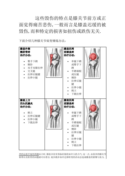 膝关节的高清解剖图与锻炼方法