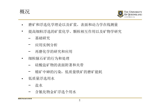 浮选化学的研究和应用