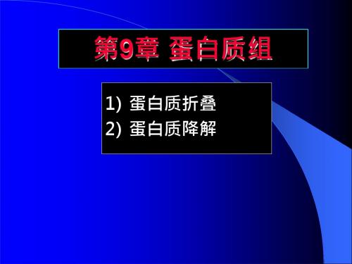 22-第9章 蛋白质组-折叠与降解