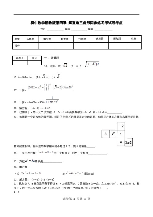 初中数学湘教版第四章 解直角三角形同步练习考试卷考点 (2).doc