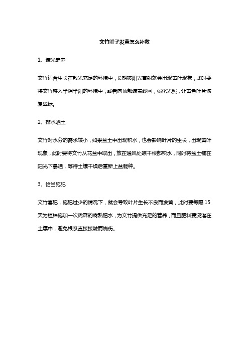 文竹叶子发黄怎么补救