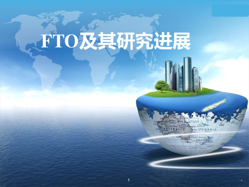 FTO及其研究进展PPT课件