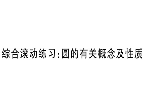 九年级华师大版版数学下册课件：综合滚动练习：圆的有关概念及性质 (共31张PPT)