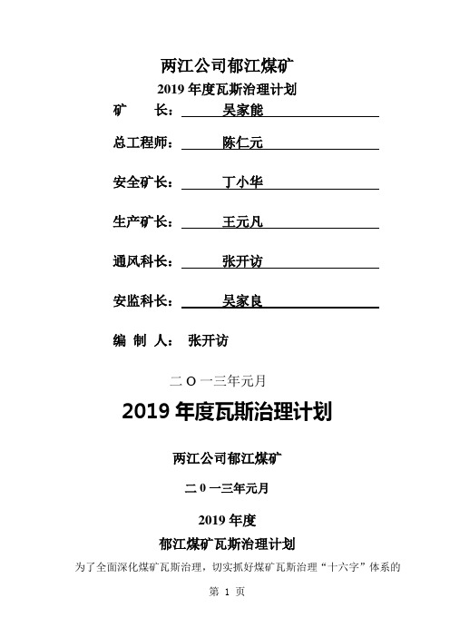 2019年度瓦斯治理计划-13页精选文档