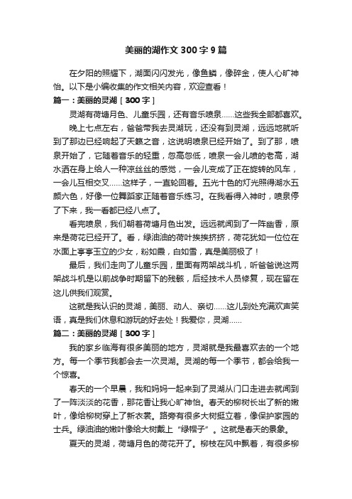 美丽的湖作文300字9篇