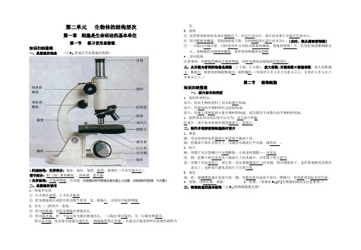 (新人教版)七年级生物上册第二单元知识总结