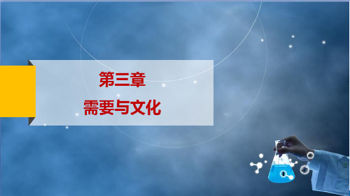 63需要与文化护理学导论