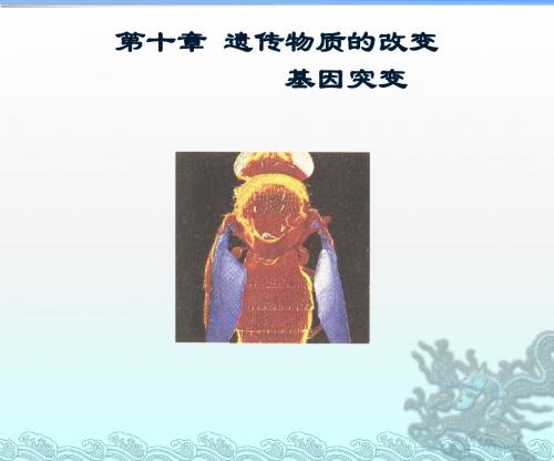 普通遗传学(第十章)