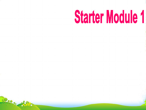 英语外研版七年级上册Starter Module 1PPT(共40张PPT)