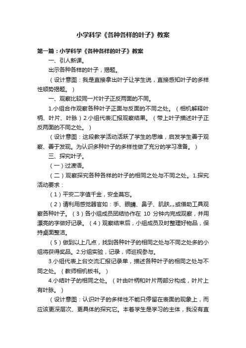 小学科学《各种各样的叶子》教案