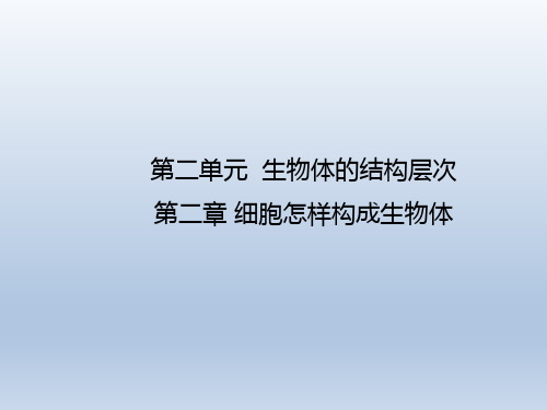 人教版七年级生物上册第二单元第二章 细胞怎样构成生物体 复习课件(共27张PPT)