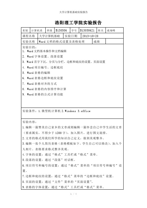 大学计算机基础实验报告参考模板