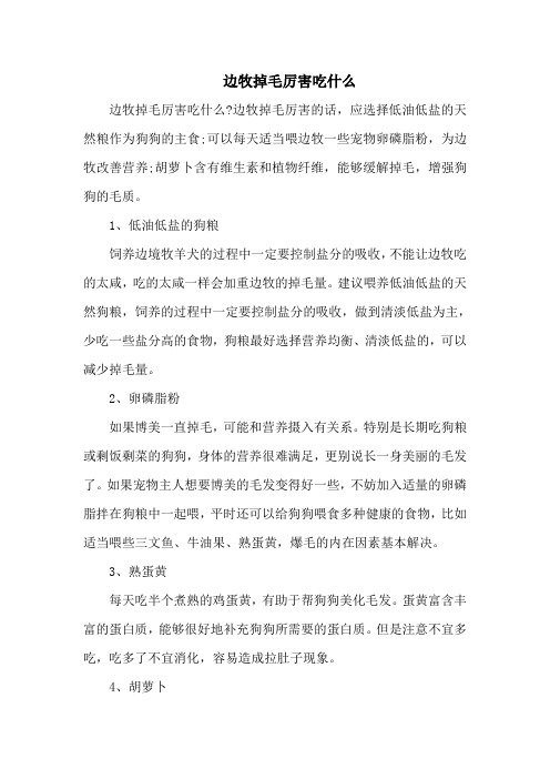 边牧掉毛厉害吃什么