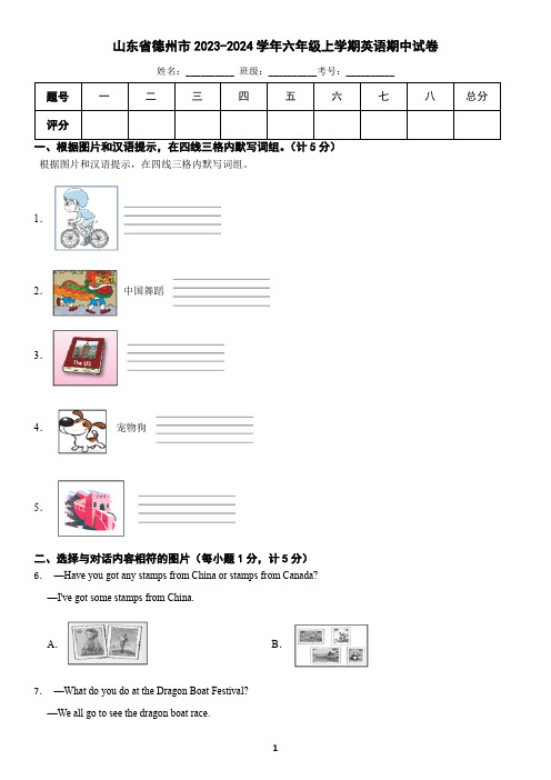 山东省德州市2023-2024学年六年级上学期英语期中试卷(含答案)