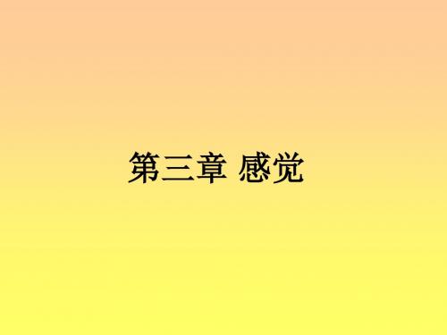 普通心理学--感觉