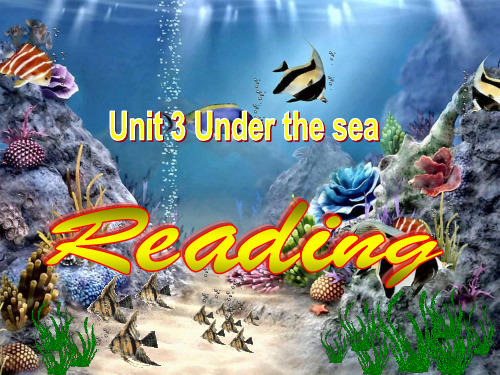 人教版高中英语选修七Unit 3 Under the sea(9)课件 (共43张PPT)