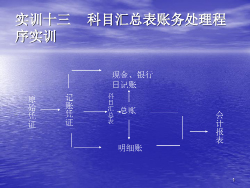 科目汇总表账务处理程序实训ppt课件