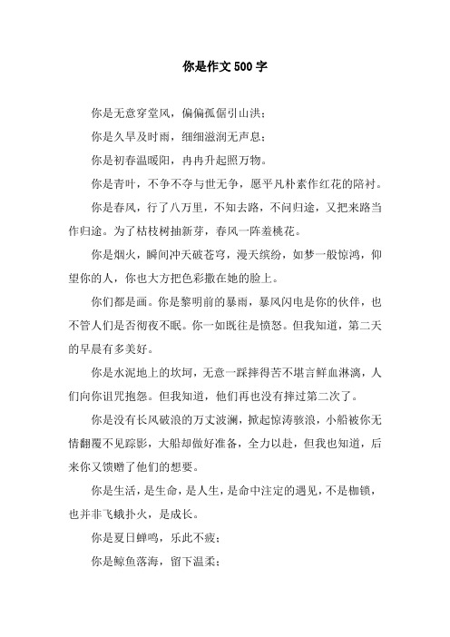 你是作文500字
