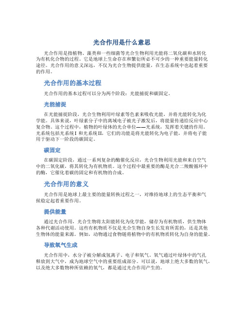 光合作用是什么意思