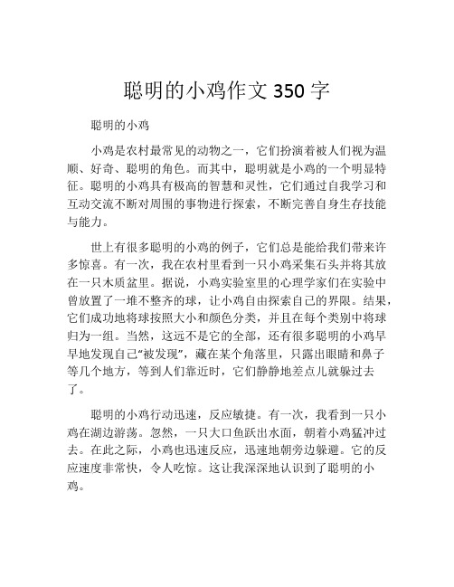 聪明的小鸡作文350字