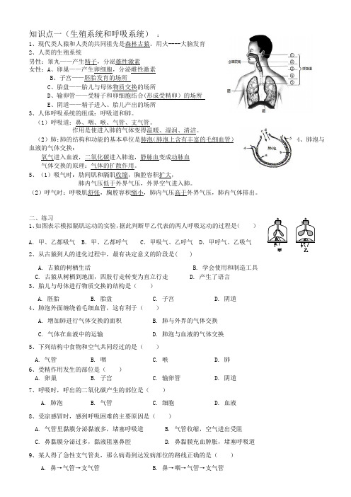 知识点(1)生殖和呼吸系统