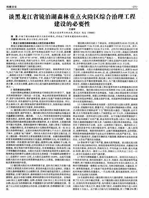 谈黑龙江省镜泊湖森林重点火险区综合治理工程建设的必要性