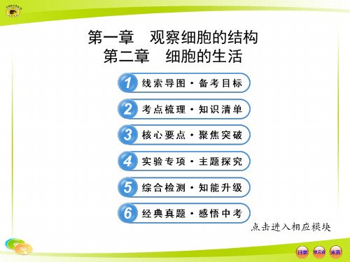 人教版 初中生物 第二单元 第一章 观察细胞的结构 第二章 细胞的生活 中考复习
