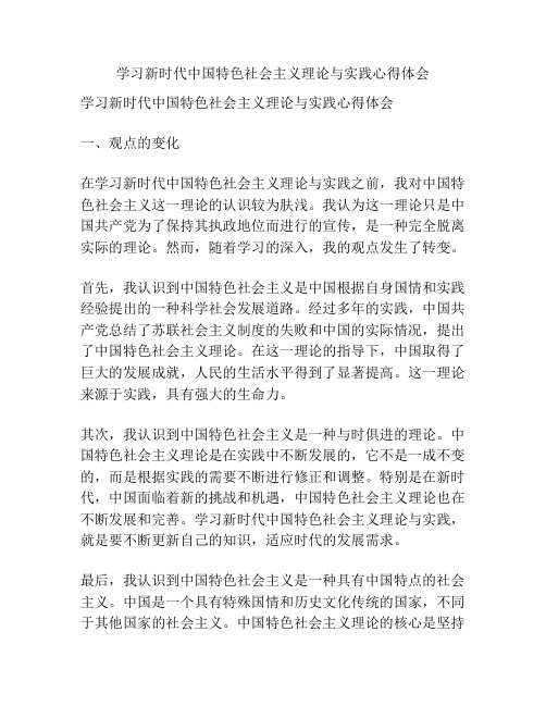 学习新时代中国特色社会主义理论与实践心得体会