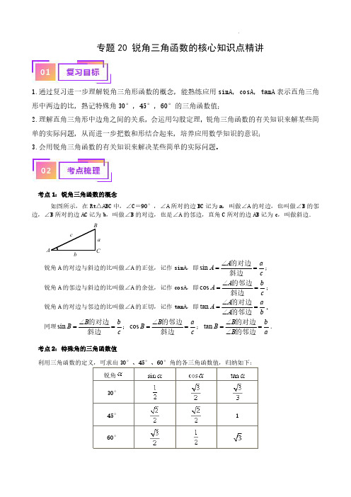 锐角三角函数的核心知识点精讲(讲义)-备战2024年中考数学一轮复习考点帮(全国通用)(解析版)