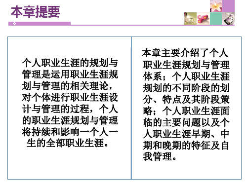 修身养性自我提升发展模式个人职业生涯开发与管理ppt课件