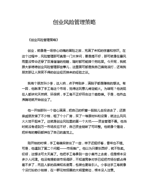 创业风险管理策略