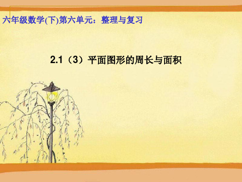 青岛版小学六年级数学下册总复习-平面图形的周长与面积