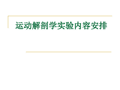 运动解剖学实验报告