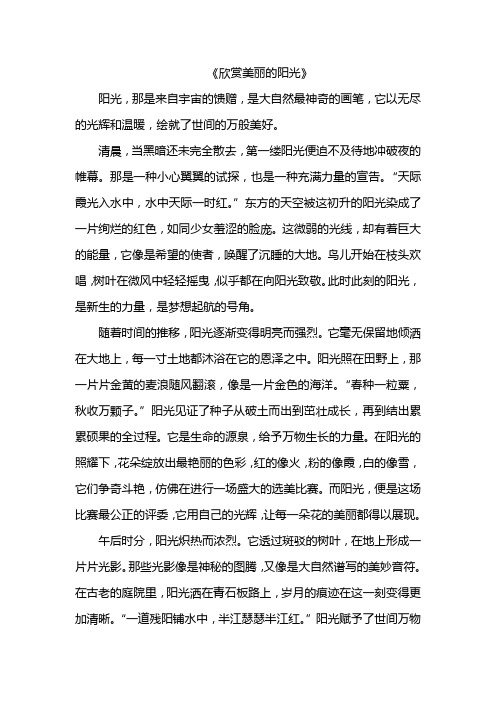 欣赏美丽的阳光