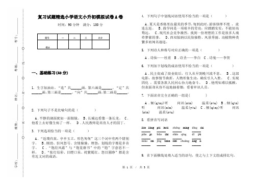 复习试题精选小学语文小升初模拟试卷A卷