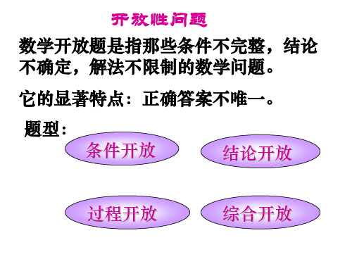 新课标人教版初中数学《开放性问题》精品