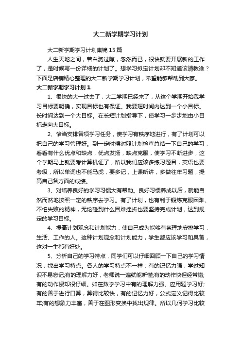 大二新学期学习计划