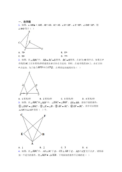 上海延安中学八年级数学上册第十二章《全等三角形》阶段测试(培优练)