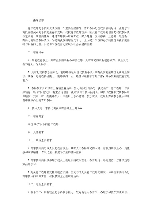 2020新教师工作计划4篇