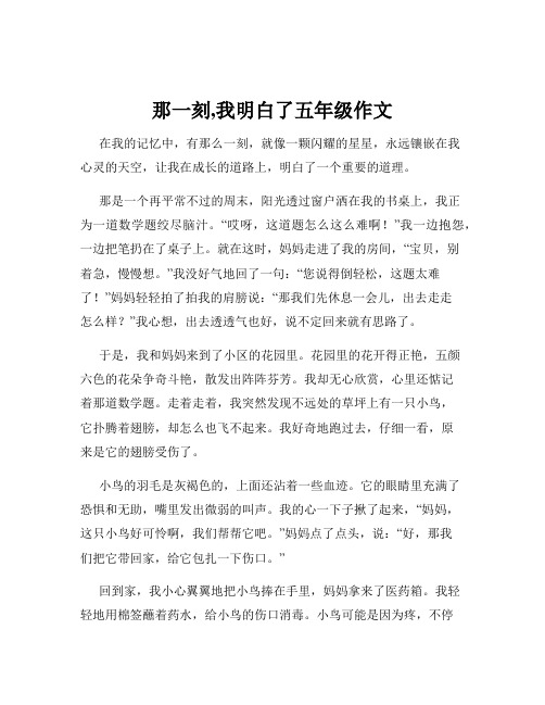 那一刻,我明白了五年级作文