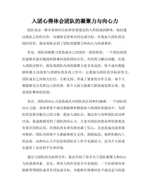 入团心得体会团队的凝聚力与向心力