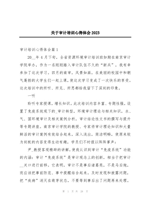 关于审计培训心得体会2023